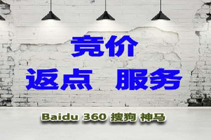 SEM投放策略：成功案例解析